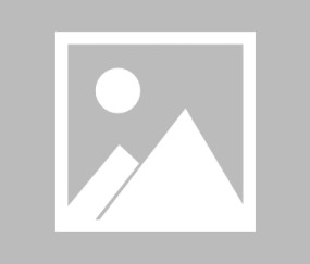 悦盈体育 -包含CBA季后赛赛程吃紧；那不勒斯集结日主帅复盘；赛场秩序良好；医务组通报恢复的词条