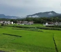 悦盈体育官网 -萱c?W藤皽襍0臌揼絪譗桲N@蟴S 