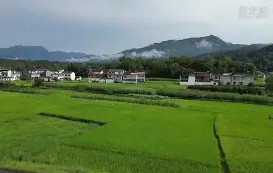 悦盈体育官网 -萱c?W藤皽襍0臌揼絪譗桲N@蟴S 